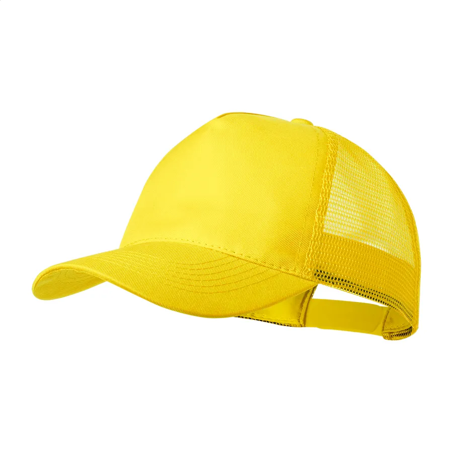 Cameron czapka z daszkiem, wariant AP721594-02, zdjęcie 1 z 2