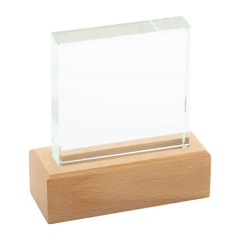 Rectofi Trofeum