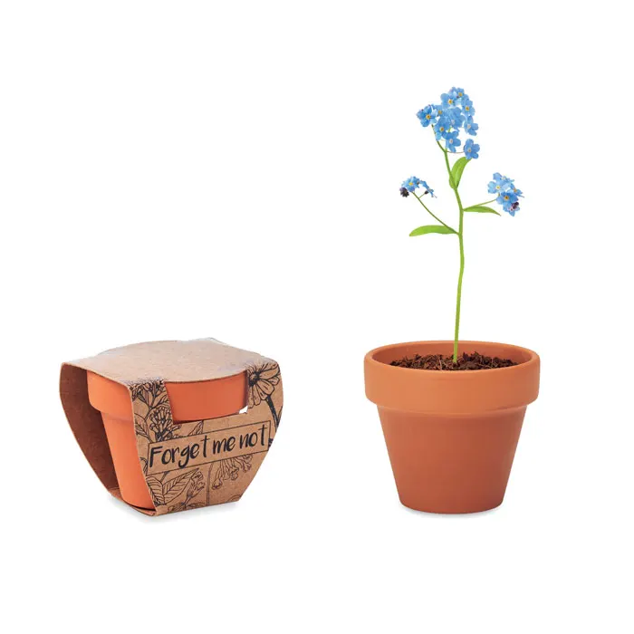FORGET ME NOT, wariant MO6146-40, zdjęcie 1 z 5