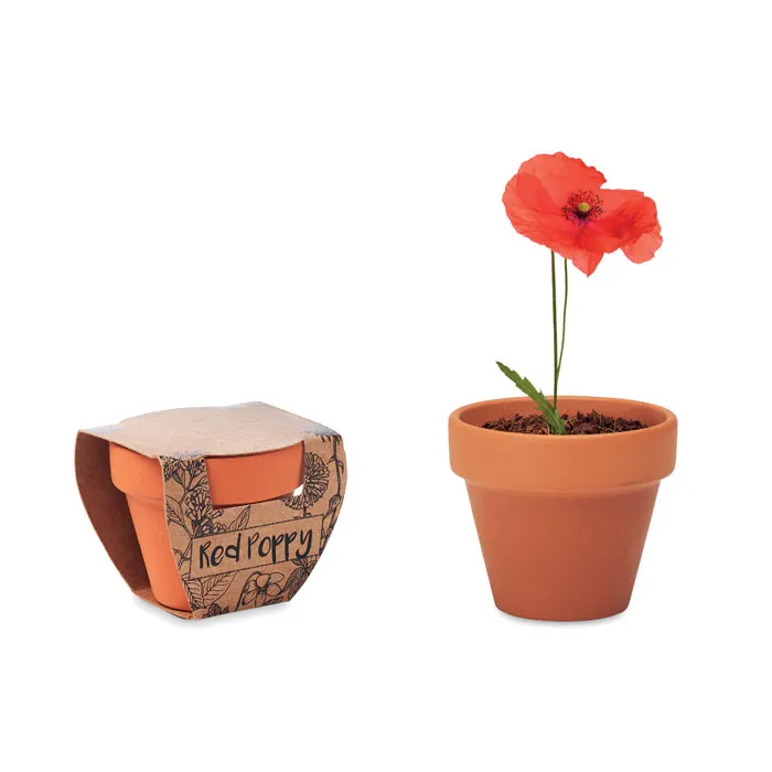 RED POPPY, wariant MO6148-40, zdjęcie 1 z 4