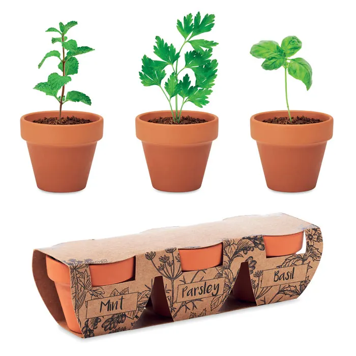 FLOWERPOT, wariant MO6145-40, zdjęcie 1 z 5