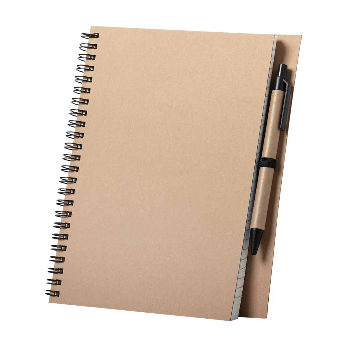 Salix notes, wariant AP721490, zdjęcie 1 z 2