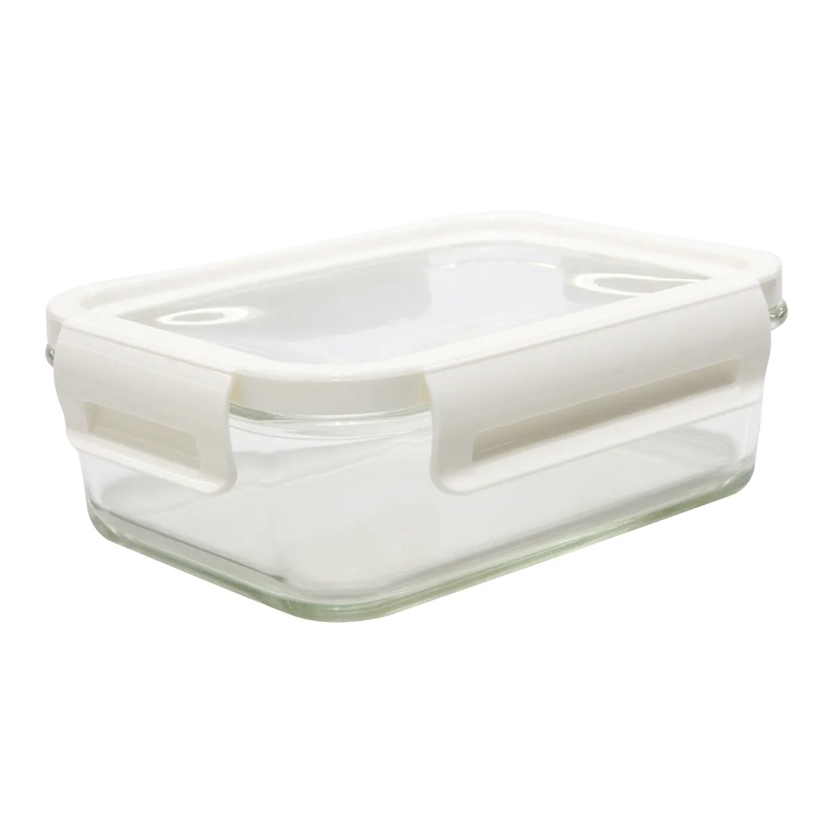 Lunch box Delect 900 ml, wariant R08442.00, zdjęcie 1 z 8
