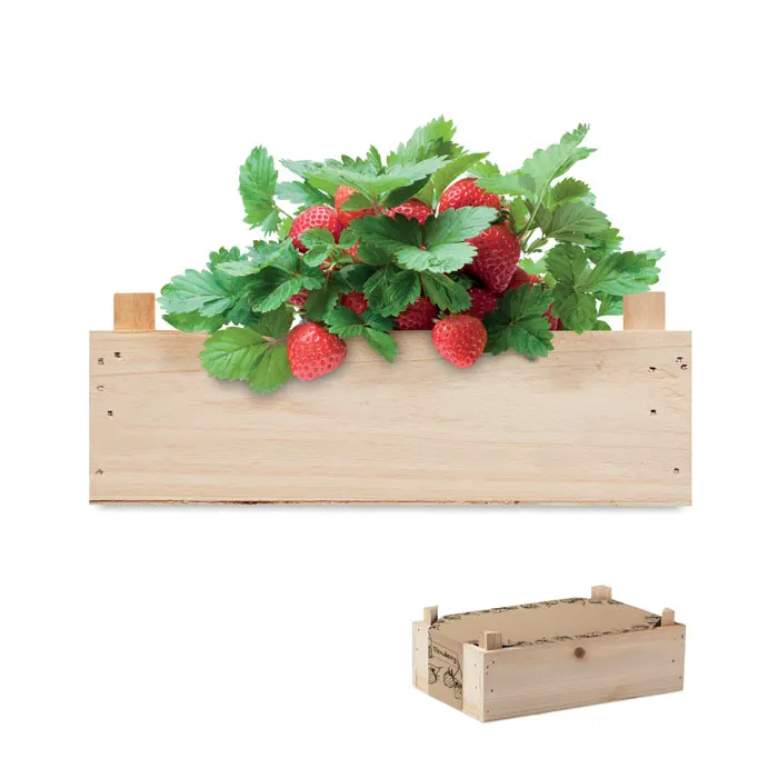 STRAWBERRY, wariant MO6506-40, zdjęcie 1 z 5