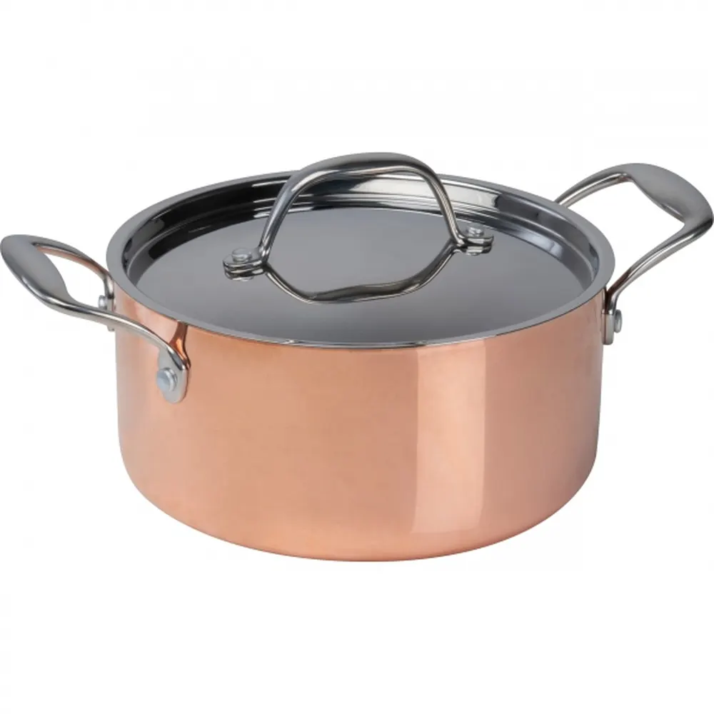 Garnek do indukcji CrisMa ⌀20,5 cm AGATA, wariant 8497395, zdjęcie 1 z 9