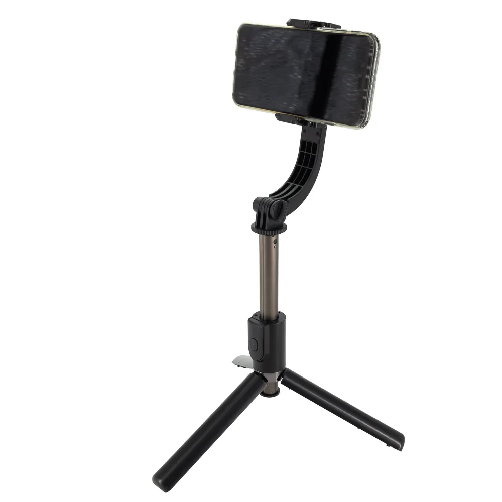 Gimbal, wariant EG0590007, zdjęcie 1 z 8