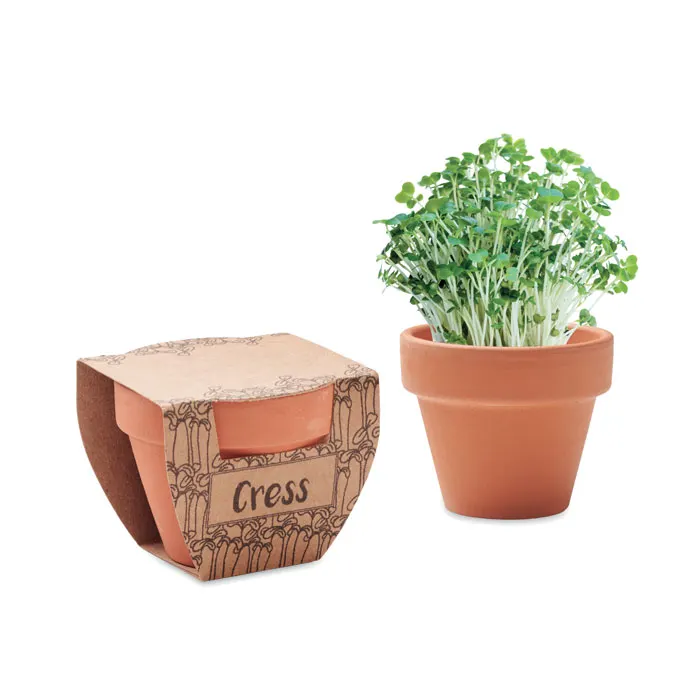 CRESS POT, wariant MO2219-40, zdjęcie 1 z 3